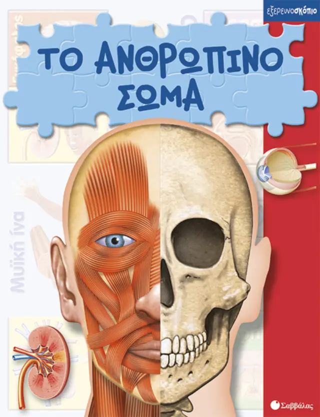 Το ανθρώπινο σώμα