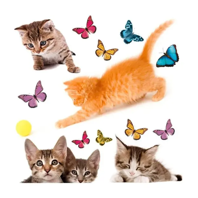 Αυτοκόλλητα Βινυλίου για Τζάμι Ango Cats 64001 3