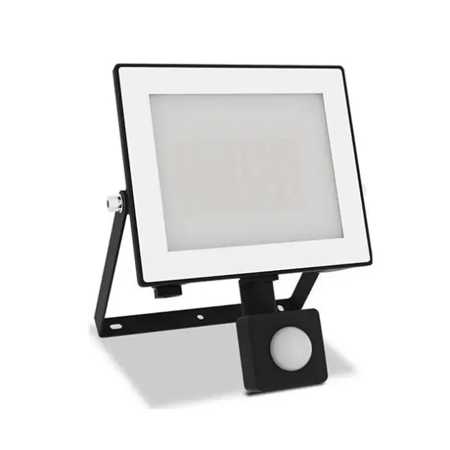 Philips Lois Flood Light LED 30W 3200lm 5000K IP65 Black (929004642501)