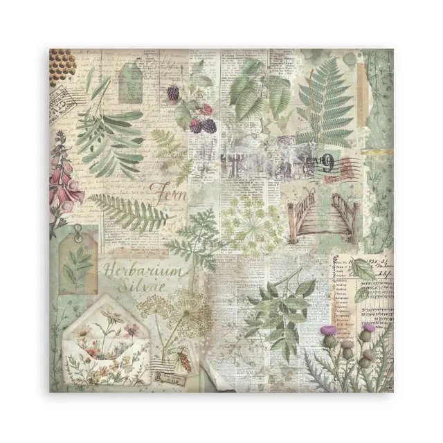 Χαρτιά scrapbooking 10τεμ, 30.5×30.5cm Stamperia, Herbarium Silvae, Backgrounds 2