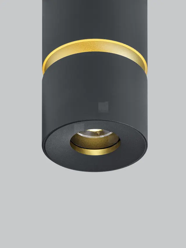 ROK Ceiling Luminaire Μαύρο-Χρυσό LED 10W Ρυθμιζόμενη Δέσμη 20°–60° Μαύρο Μαύρο/Χρυσό Χρυσό 3