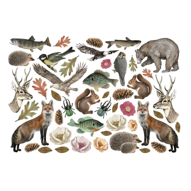 Αυτοκόλλητα Die Cuts-Ephemera Stamperia, Forest 2