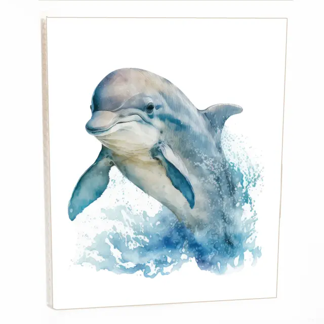 Άλμπουμ pocket με θήκες για 36 φωτογραφίες 13Χ18 DOLPHIN 02