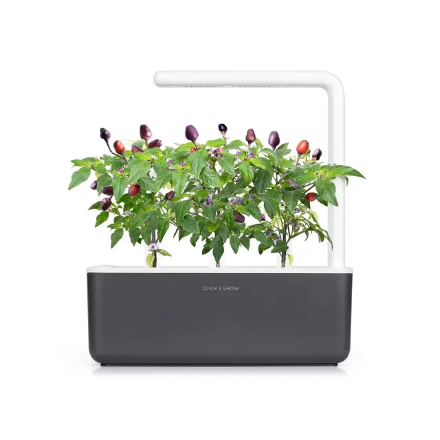 Click and Grow Συσκευασία Σπόρων με Χώμα, για Μωβ Πιπεριές Chili – 3τμχ 2