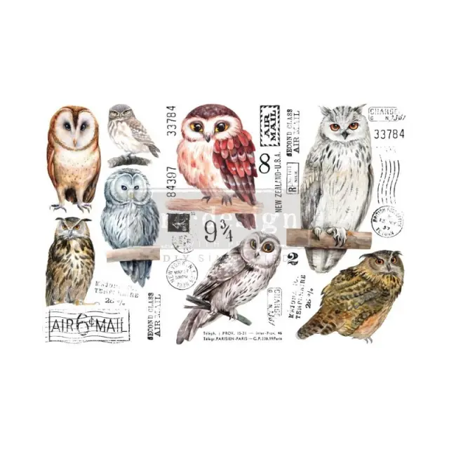 Χαρτί Decor Transfer Prima Re-Design, Owl, 12x30.5cm
