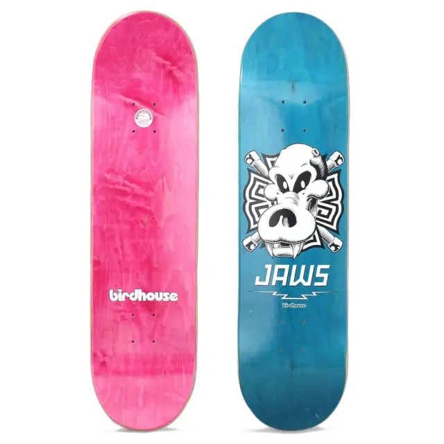 BIRDHOUSE Pro Jaws Skull Skateboard Deck 8.25” 2