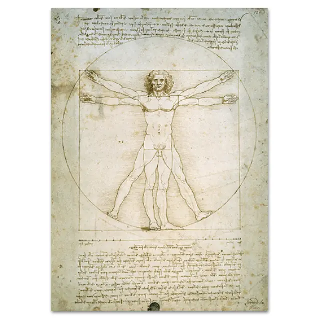 Καμβάς Leonardo da Vinci - Ο άνθρωπος του Βιτρούβιου - 127Χ179