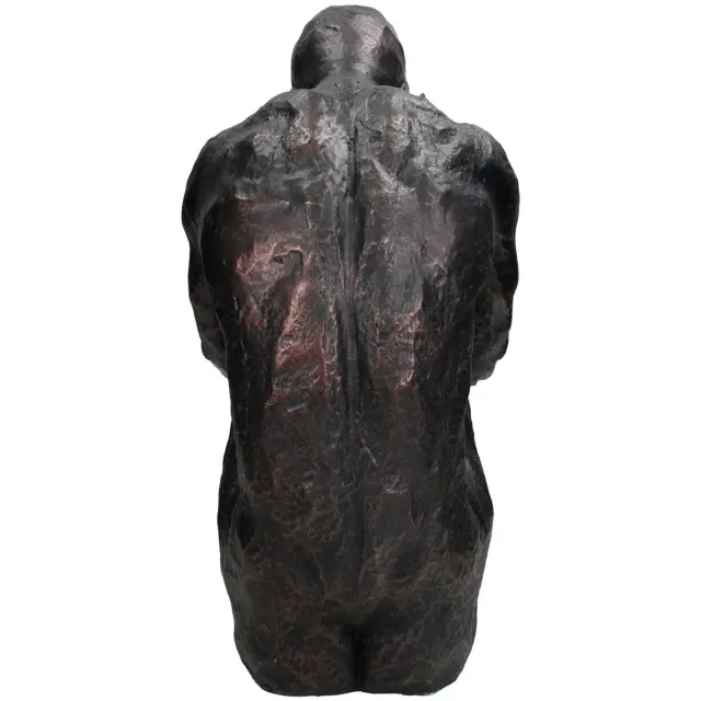 Διακοσμητικό Φιγούρα Μπρονζέ Polyresin 40.2x22.7x33.5cm 3