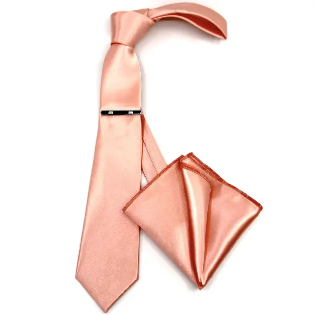 Σωμόν Γραβάτα Σατέν Glossy 6,5 cm με Ασορτί Μαντήλι 2