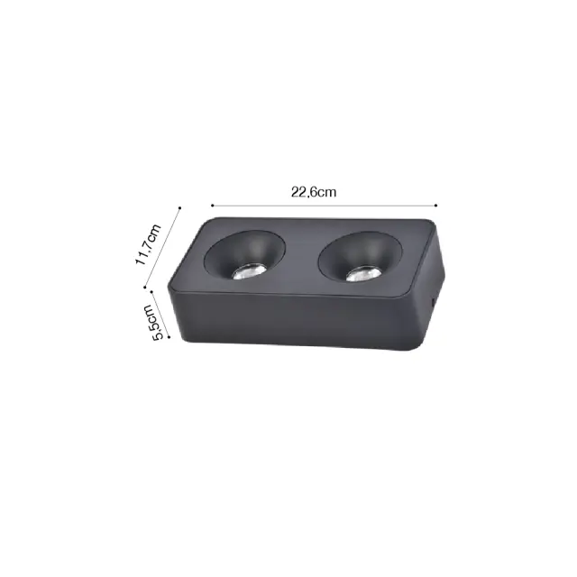 Inlight Downlight Mounted σποτ 2*8W 3CCT σε λευκή απόχρωση (X00270W) 2