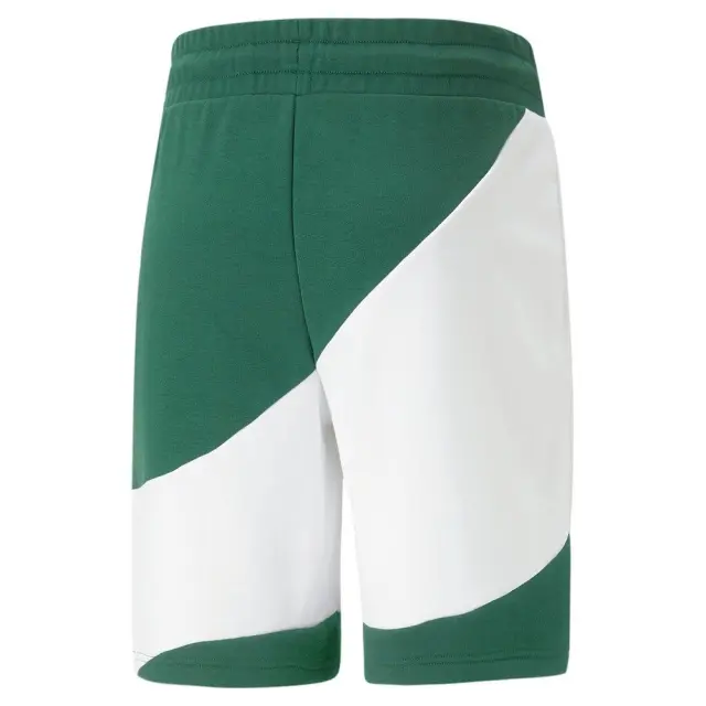 Puma Power Cat Shorts 9in (675175-37) - Λευκό-Πράσινιο - S 2