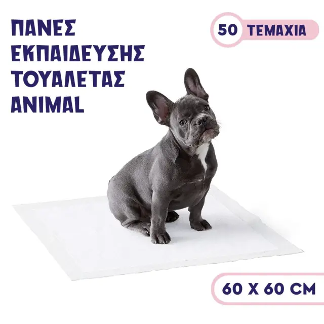 Πάνες Εκπαίδευσης 60x60 50τμ 60x60cm