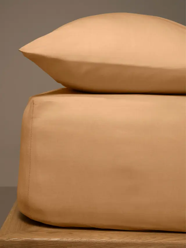 Κατωσέντονο Menta με λάστιχο 5 Brown Ημίδιπλο (120x200+25) Sunshine