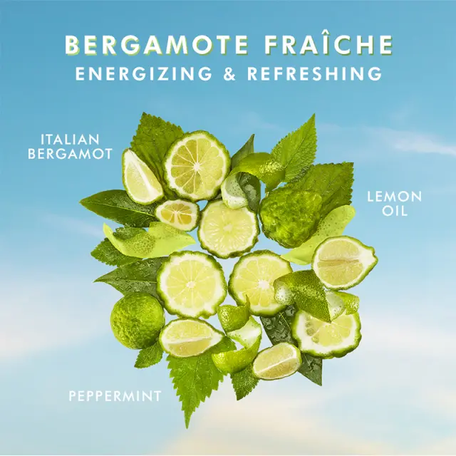 Moroccanoil Body Lotion Bergamote Fraiche 360ml 3