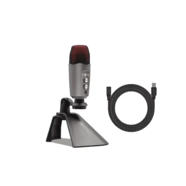 ΕΠΑΓΓΕΛΜΑΤΙΚΟ ΜΙΚΡΟΦΩΝΟ ANDOWL Q-MIC995 2