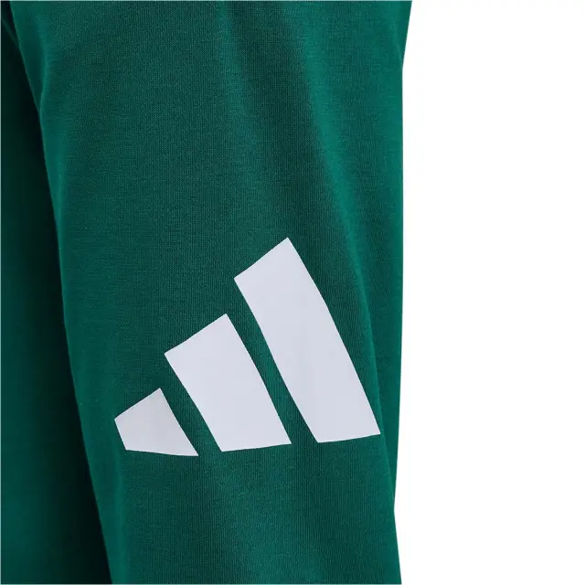 adidas Sportswear Boy's Big Logo French Terry 280 Pant Πράσινο KQ5232 (adidas Sportswear) 3