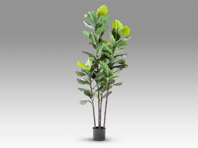 Higuera Violin 281577 Artificial Plant H250 – Τεχνητό Φυτό Ficus Lyrata Πράσινο