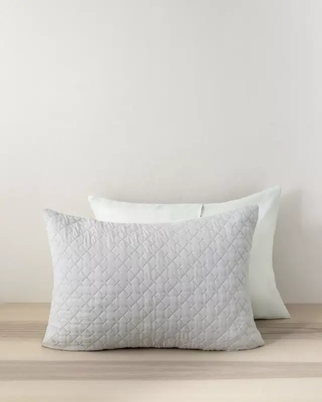 Μαξιλαροθήκες Arden - Gray / Mint Γκρι, Μέντα, Πράσινο Μαξιλαροθήκες (2 x 52x72)