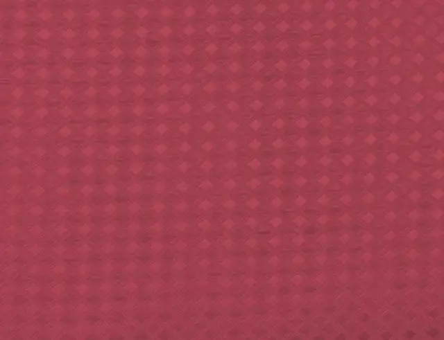 Κουρτίνα Μπάνιου με κρίκους Quartz Douceur d'intérieur με διαστάσεις 180x200cm - Raspberry 1801646 3