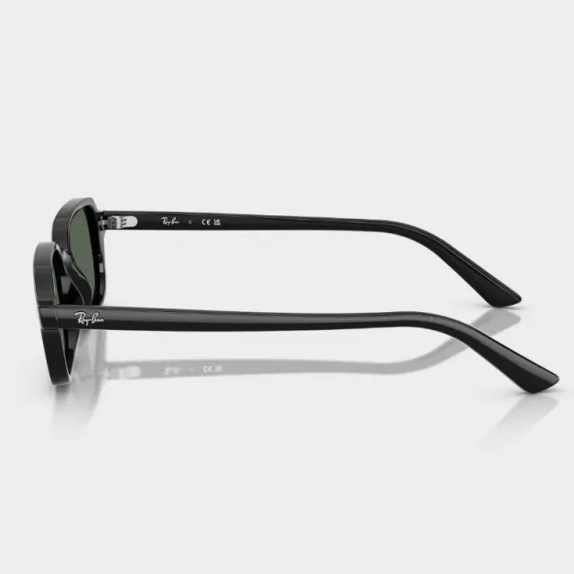 Γυαλιά Ηλίου Ray Ban RB4455 667771 Μαύρο - 52 3