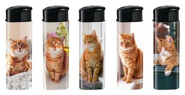 Belfam Αναπτήρες Ηλεκτρονικοί - Red Hair Cats - 5 τεμ.