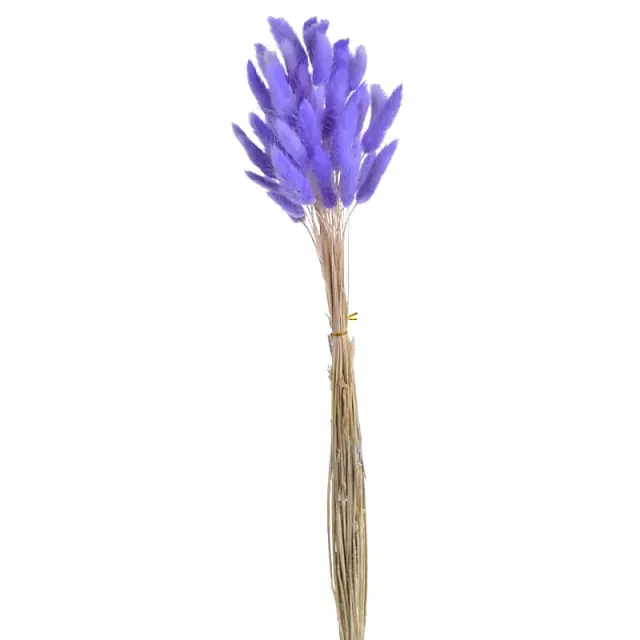Μπουκέτο κλαδιά Lagurus, 65cm, μωβ
