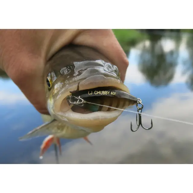 Lucky John Chubby 40F – 3.5g 015 3