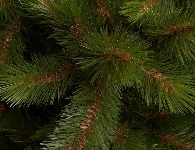 Χριστουγεννιάτικο Δέντρο Wyoming Triumph Tree με διαστάσεις 215x145cm - Green 1164759 3