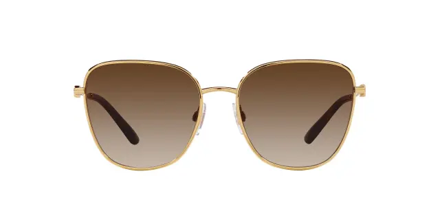 Γυαλιά Ηλίου Dolce Gabbana DG2293 02/13 Ντεγκραντέ (Dolce & Gabbana) (DG2293 02/13) 2