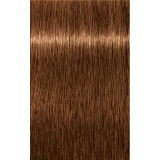 Schwarzkopf Professional Igora Royal Absolutes 8-60 Ξανθό Ανοιχτό Μαρόν Φυσικό 60ml