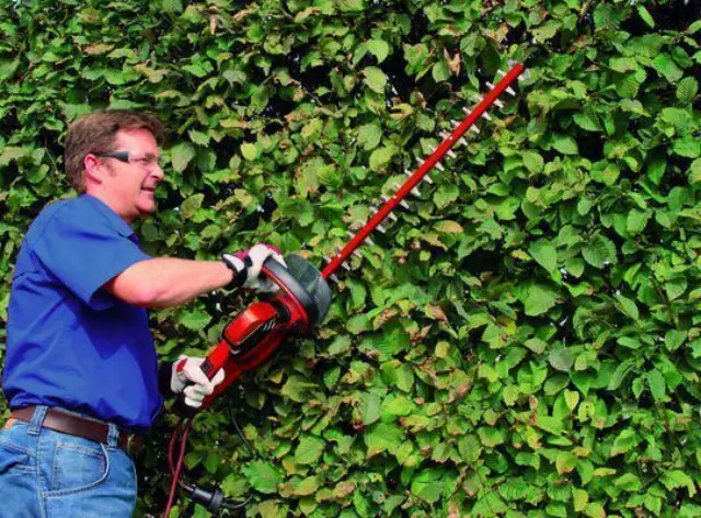 Einhell 3403320 - Ηλεκτρικό Μπορντουροψάλιδο με Μήκος Λάμας 61cm GC-EH 6055/1 2