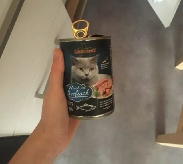 Leonardo Ocean Fish Super Premium Κονσέρβα Γάτας με Ψάρια 400gr