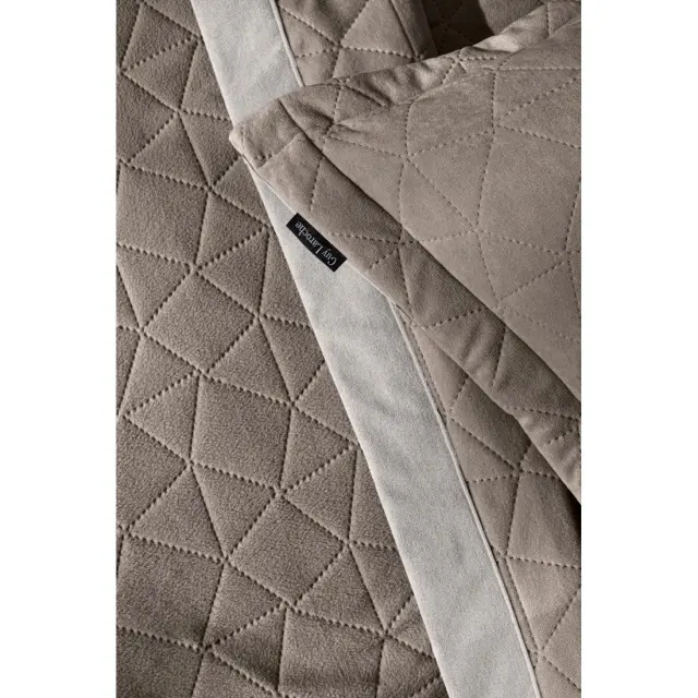 Μαξιλαροθήκη Διακόσμησης Guy Laroche Avalon Puro 40x40 3