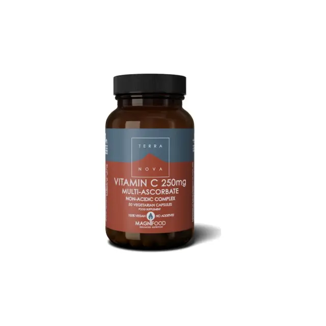 TerraNova Vitamin C Βιταμίνη για το Ανοσοποιητικό Σύστημα, τo Δέρμα & Αντιοξειδωτική δράση 250mg 50 φυτικές κάψουλες