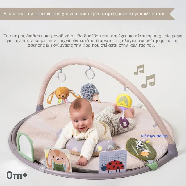 Taf Toys TUMMY-TIME ACTIVITY GYM 2