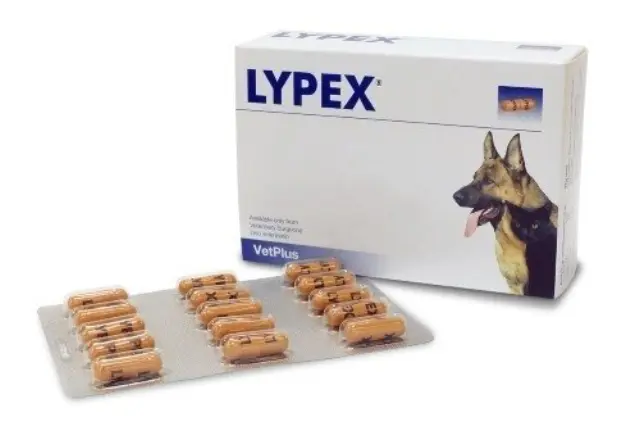 PET HEALTH VetPlus Lypex 1x60caps
