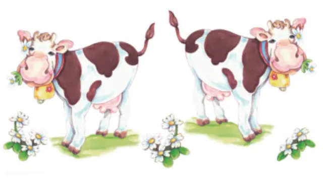 Αυτοκόλλητα για γυαλί & πορσελάνη Cows 11x20cm