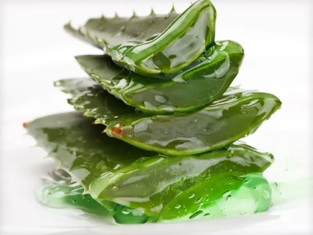 PanSoap Αγνό φυτικό σαπούνι με βιολογική Aloe Vera 125gr. 2