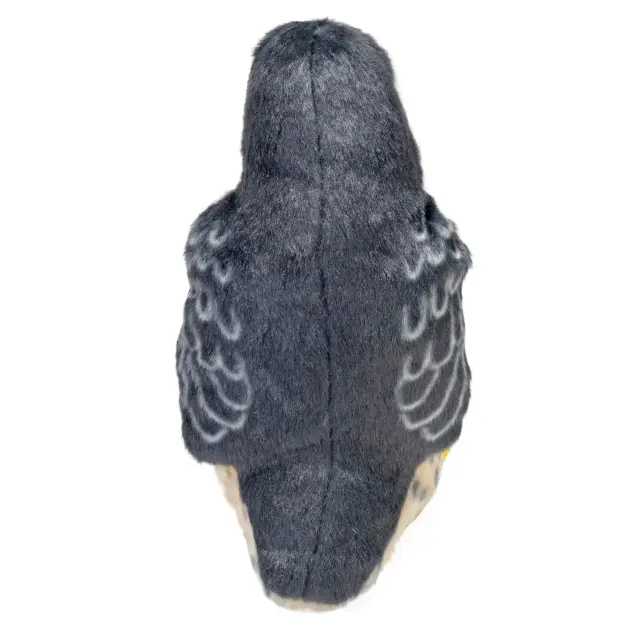 Wild Republic Λούτρινο Πουλάκι με Φυσικό Ήχο / Bird with Real Bird Call (7 σχέδια) Peregrine Falcon 3