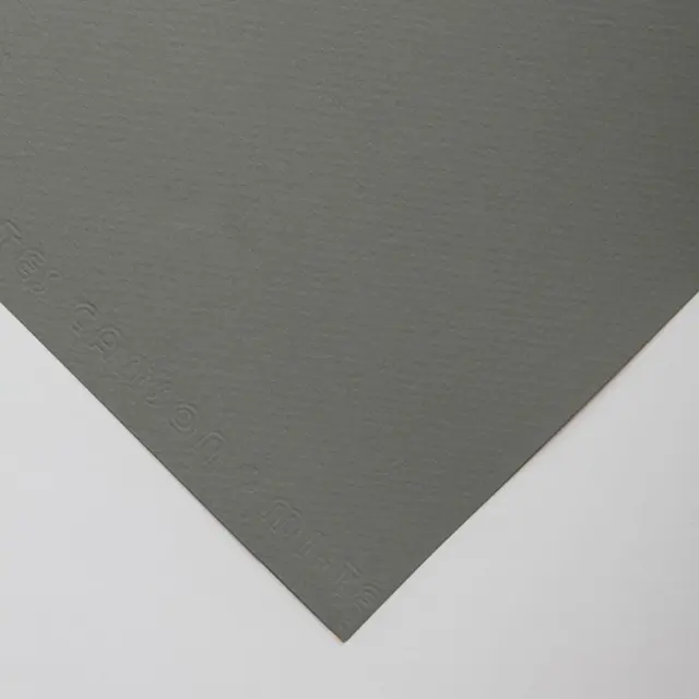 Χαρτόνι Canson Mi-Teintes 160g/m² 65x50cm - 429 Felt Grey