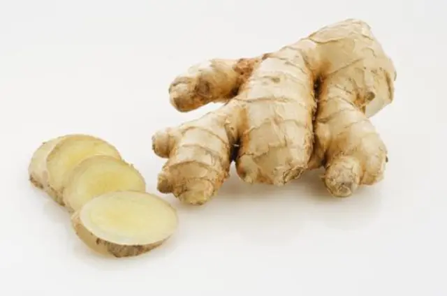 ARGITAL Essential Oil Ginger – Φυσικό Θερμαντικό Αιθέριο Έλαιο Τζίντζερ για Τόνωση & Ευεξία, 10 ml 2