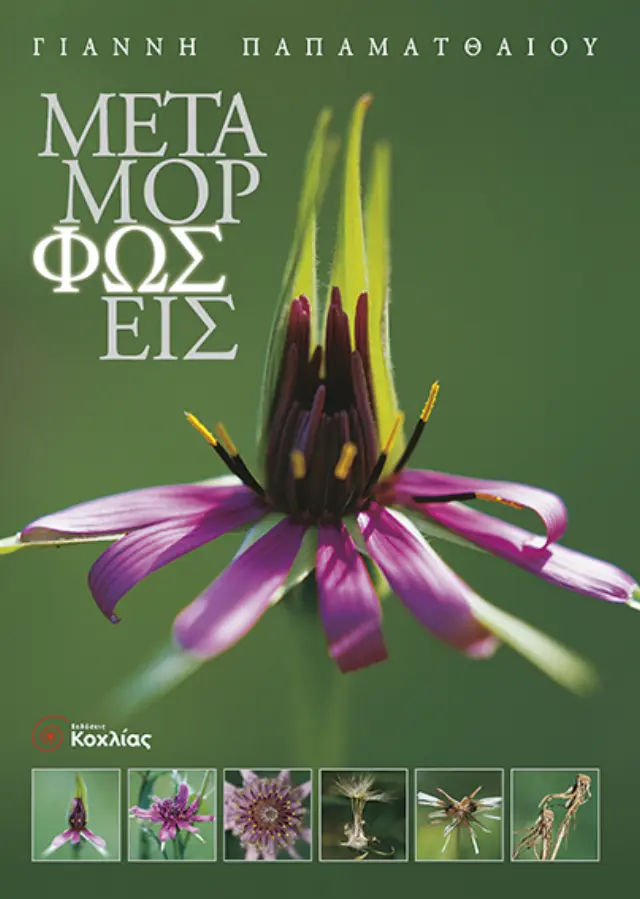 Μεταμορφώσεις