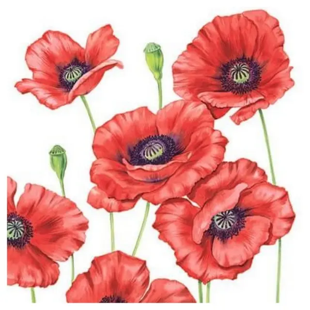 Χαρτοπετσέτα για Decoupage Romantic Poppy, 1 τεμ