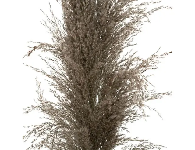 Διακοσμητικά κλαδιά Pampas Atmosphera - 109cm - 3 τεμάχια 179282B 3