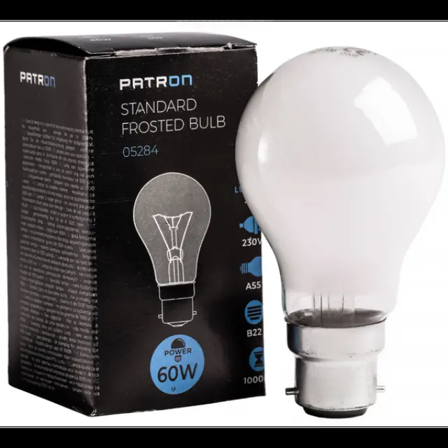 Incandescent Bulb B22 60W A55 230V FR