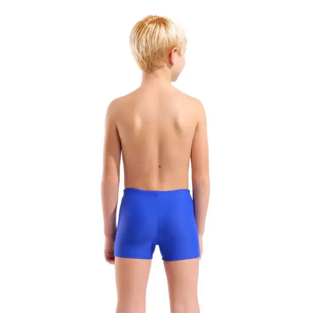 Arena Boy's Detail Swim Shorts Μπλε 011753-808 (Arena) 2