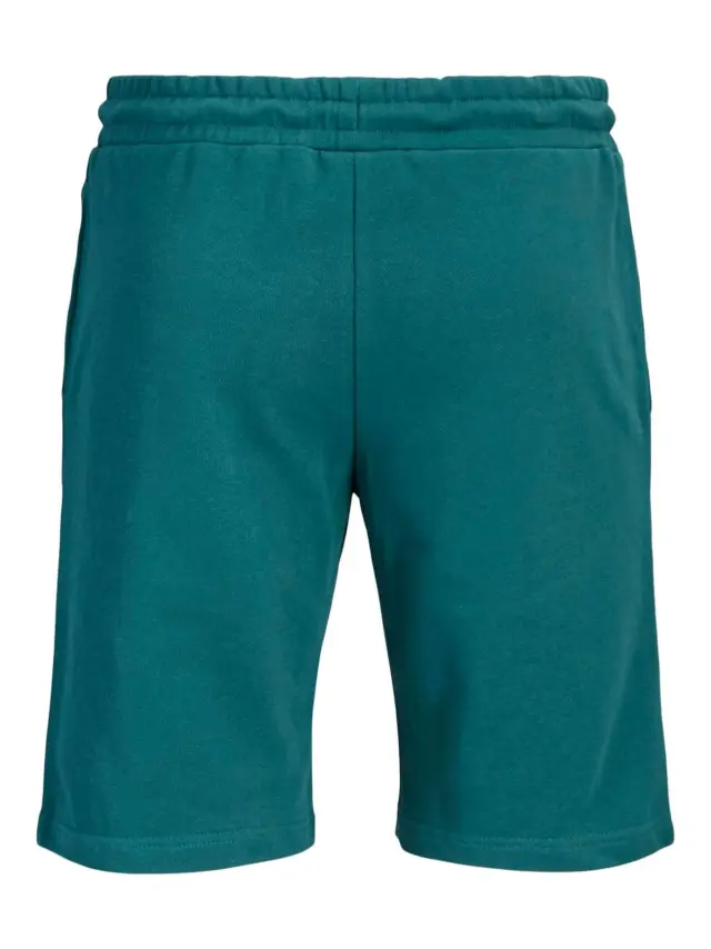 JPSTGORDON COLLEGE SWEAT SHORTS MID Atlantic Deep - S 2