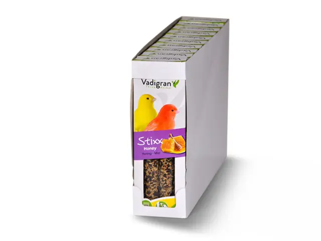 Vadigran Stixx Canaries Honey Στικς για Καναρίνια με Μέλι 2τμχ 90gr 2