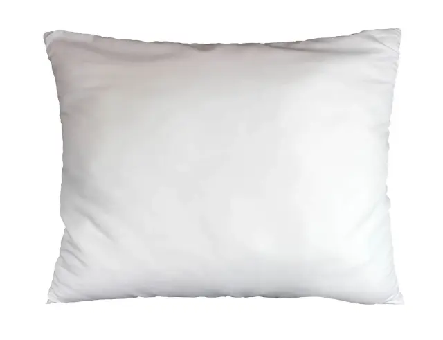 Μαξιλάρι Ύπνου Confort Douceur d'intérieur από Microfiber, με πυκνότητα 300gr/m² και διαστάσεις 70x50cm 1641345