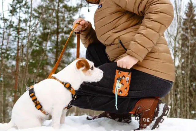Woolly Wolf Eco Friendly Οδηγός Περιπάτου Sea to Summit Leash (150 cm) Μονόχρωμο 2